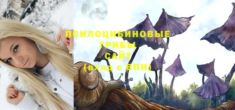 Галлюциногенные грибы Magic Shrooms  Бугульма 